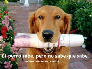 “ El perro sabe, pero no sabe que sabe” (Pierre Teilhard de Chardin) 