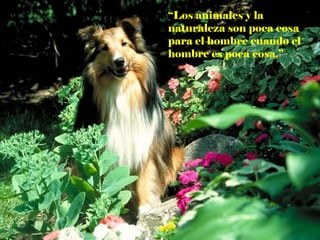 “ Los animales y la naturaleza son poca cosa para el hombre cuando el hombre es poca cosa.” 