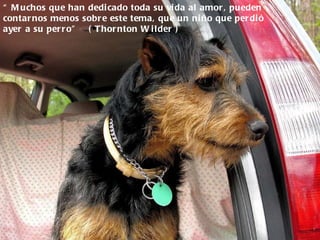 “  Muchos que han dedicado toda su vida al amor, pueden contarnos menos sobre este tema, que un niño que perdió ayer a su perro”  ( Thornton Wilder ) 
