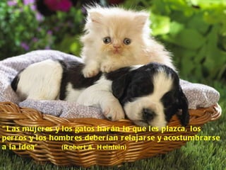 “ Las mujeres y los gatos harán lo que les plazca, los perros y los hombres deberían relajarse y acostumbrarse a la idea”  (Robert A. Heinlein) 
