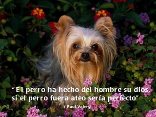 “ El perro ha hecho del hombre su dios, si el perro fuera ateo sería perfecto”   ( Paul Valery) 