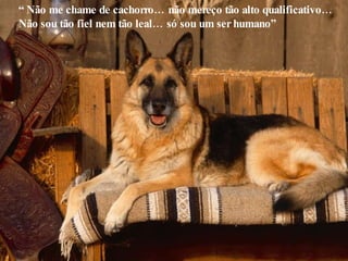 “  Não me chame de cachorro… não mereço tão alto qualificativo… Não sou tão fiel nem tão leal… só sou um ser humano”  