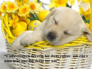 “ Cada criança deveria ter duas coisas: um cão e uma mãe que lhe deixe ter um” 