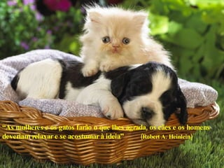 “ As mulheres e os gatos farão o que lhes agrada, os cães e os homens deveriam relaxar e se acostumar à ideia”  (Robert A. Heinlein) 