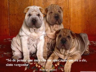 “ Só de pensar que meu cão me quer mais que eu a ele, sinto vergonha ”. (Konrad Lorenz)  