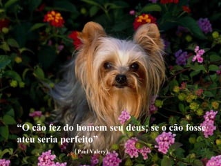 “ O cão fez do homem seu deus; se o cão fosse ateu seria perfeito”   ( Paul Valery) 