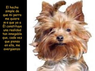 El hecho simple de que mi perro me quiere más que yo a él constituye una realidad tan innegable que, cada vez que pienso en ella, me avergüenzo   
