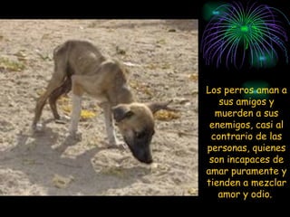 Los perros aman a sus amigos y muerden a sus enemigos, casi al contrario de las personas, quienes son incapaces de amar puramente y tienden a mezclar amor y odio.  