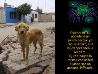 Cuando usted abandona un perro porque ya "no le sirve", sus hijos aprenden la lección. Quizás hagan lo mismo con usted cuando sea un anciano. Piénselo. 