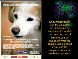 La conmiseración con los animales está íntimamente unida con la bondad de carácter, de tal manera que se puede afirmar de seguro, que quien es cruel con los animales no puede ser buena persona  