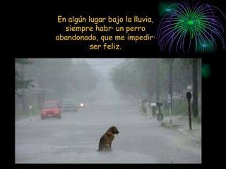 En algún lugar bajo la lluvia, siempre habrá un perro abandonado, que me impedirá ser feliz. 
