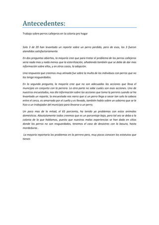Antecedentes:
Trabajo sobre perros callejeros en la colonia pro hogar



Solo 3 de 20 han levantado un reporte sobre un perro perdido, pero de esos, los 3 fueron
atendidos satisfactoriamente.

En dos preguntas abiertas, la mayoría cree que para tratar el problema de los perros callejeros
seria nada mas y nada menos que la esterilización, añadiendo también que se debe de dar mas
información sobre ellos, y en otros casos, la adopción.

Una respuesta que creemos muy atinada fue sobre la multa de los individuos con perros que no
los tenga resguardados.

En la segunda pregunta, la mayoría cree que no son adecuadas las acciones que lleva el
municipio en conjunto con la perrera. La otra parte no sabe cuales son esas acciones. Uno de
nuestros encuestados, nos dio información sobre las acciones que toma la perrera cuando se ha
levantado un reporte, la encuestada nos narro que si un perro llega a sacar tan solo la cabeza
entre el cerco, es amarrado por el cuello y es llevado, también hablo sobre un soborno que se le
hizo a un trabajador del municipio para llevarse a un perro.

Un poco mas de la mitad, el 65 porciento, ha tenido ya problemas con estos animales
domésticos. Absolutamente todos creemos que es un porcentaje bajo, pero tal vez se deba a la
colonia de la que hablamos, puesto que nuestras malas experiencias se han dado en sitios
donde los perros no son resguardados, tenemos el caso de desastres con la basura, hasta
mordeduras .

 La mayoría reportaría los problemas en la perrera pero, muy pocos conocen los estatutos que
tienen
 