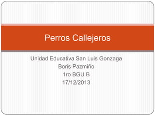 Perros Callejeros
Unidad Educativa San Luis Gonzaga
Boris Pazmiño
1ro BGU B
17/12/2013

 