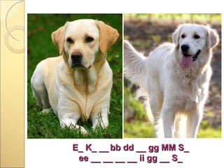 E_ K_ __ bb dd __ gg MM S_
ee __ __ __ __ ii gg __ S_

 