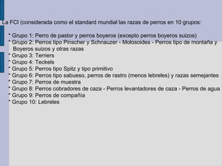 La FCI (considerada como el standard mundial las razas de perros en 10 grupos:

  * Grupo 1: Perro de pastor y perros boyeros (excepto perros boyeros suizos)
  * Grupo 2: Perros tipo Pinscher y Schnauzer - Molosoides - Perros tipo de montaña y
    Boyeros suizos y otras razas
  * Grupo 3: Terriers
  * Grupo 4: Teckels
  * Grupo 5: Perros tipo Spitz y tipo primitivo
  * Grupo 6: Perros tipo sabueso, perros de rastro (menos lebreles) y razas semejantes
  * Grupo 7: Perros de muestra
  * Grupo 8: Perros cobradores de caza - Perros levantadores de caza - Perros de agua
  * Grupo 9: Perros de compañía
  * Grupo 10: Lebreles
 