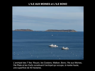L’ILE AUX MOINES et L’ILE BONO




L’archipel des 7 îles: Rouzic, les Costans, Malban, Bono, l’Ile aux Moines,
l’Ile Plate et les Cerfs constituent l’archipel qui occupe, à marée haute,
une superficie de 40 hectares.
 