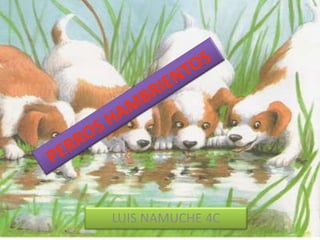 LUIS NAMUCHE 4C
 