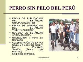PERRO SIN PELO DEL PERÚ <ul><li>FECHA DE PUBLICACIÓN DEL ESTÁNDAR ORIGINAL:12/06/1985  </li></ul><ul><li>FECHA DE APROBACI...