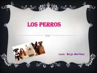LOS PERROS
Lucia Borja Martínez
 