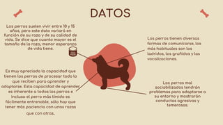 DATOS
€300
Es muy apreciada la capacidad que
tienen los perros de procesar todo lo
que reciben para aprender y
adaptarse. Esta capacidad de aprender
es inherente a todos los perros e
incluso el perro más tímido es
fácilmente entrenable, sólo hay que
tener más paciencia con unas razas
que con otras.
€540
Los perros suelen vivir entre 10 y 15
años, pero este dato variará en
función de su raza y de su calidad de
vida. Se dice que cuanto mayor es el
tamaño de la raza, menor esperanza
de vida tiene.
€85
Los perros mal
sociabilizados tendrán
problemas para adaptarse a
su entorno y mostrarán
conductas agresivas y
temerosas.
€35
Los perros tienen diversas
formas de comunicarse, los
más habituales son los
ladridos, los gruñidos y las
vocalizaciones.
 