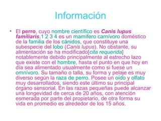 Información
• El perro, cuyo nombre científico es Canis lupus
  familiaris,1 2 3 4 es un mamífero carnívoro doméstico
  de la familia de los cánidos, que constituye una
  subespecie del lobo (Canis lupus). No obstante, su
  alimentación se ha modificado[cita requerida]
  notablemente debido principalmente al estrecho lazo
  que existe con el hombre, hasta el punto en que hoy en
  día sea alimentado usualmente como si fuese un
  omnívoro. Su tamaño o talla, su forma y pelaje es muy
  diverso según la raza de perro. Posee un oído y olfato
  muy desarrollados, siendo este último su principal
  órgano sensorial. En las razas pequeñas puede alcanzar
  una longevidad de cerca de 20 años, con atención
  esmerada por parte del propietario, de otra forma su
  vida en promedio es alrededor de los 15 años.
 