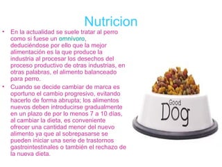 Nutricion
•   En la actualidad se suele tratar al perro
    como si fuese un omnívoro,
    deduciéndose por ello que la mejor
    alimentación es la que produce la
    industria al procesar los desechos del
    proceso productivo de otras industrias, en
    otras palabras, el alimento balanceado
    para perro.
•   Cuando se decide cambiar de marca es
    oportuno el cambio progresivo, evitando
    hacerlo de forma abrupta; los alimentos
    nuevos deben introducirse gradualmente
    en un plazo de por lo menos 7 a 10 días,
    al cambiar la dieta, es conveniente
    ofrecer una cantidad menor del nuevo
    alimento ya que al sobrepasarse se
    pueden iniciar una serie de trastornos
    gastrointestinales o también el rechazo de
    la nueva dieta.
 