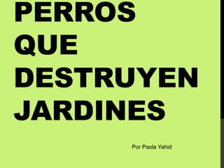PERROS
QUE
DESTRUYEN
JARDINES
Por Paola Yahid
 