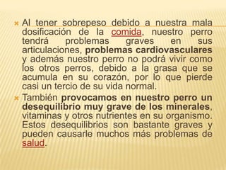 Al tener sobrepeso debido a nuestra mala dosificación de la comida, nuestro perro tendrá problemas graves en sus articulaciones, problemas cardiovasculares y además nuestro perro no podrá vivir como los otros perros, debido a la grasa que se acumula en su corazón, por lo que pierde casi un tercio de su vida normal.También provocamos en nuestro perro un desequilibrio muy grave de los minerales, vitaminas y otros nutrientes en su organismo. Estos desequilibrios son bastante graves y pueden causarle muchos más problemas de salud.