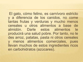    El gato, cómo felino, es carnívoro estricto y a diferencia de los canidos, no come tantas frutas y verduras y mucho menos cereales u otros alimentos a base de almidón. Darle estos alimentos le producirá una salud pobre. Por tanto, no le des arroz, patatas, pasta ni otros cereales y menos alimentos comerciales, pues llevan muchos de estos ingredientes ricos en carbohidratos (azúcares).