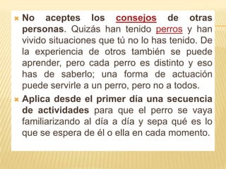 No aceptes los consejos de otras personas. Quizás han tenido perros y han vivido situaciones que tú no lo has tenido. De la experiencia de otros también se puede aprender, pero cada perro es distinto y eso has de saberlo; una forma de actuación puede servirle a un perro, pero no a todos.Aplica desde el primer día una secuencia de actividades para que el perro se vaya familiarizando al día a día y sepa qué es lo que se espera de él o ella en cada momento.