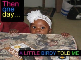 Then
one
day...




     A LITTLE BIRDY TOLD ME
 
