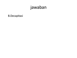 jawaban
B.Decapitasi
 