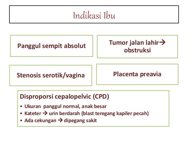 Pers.sc & embriotomi