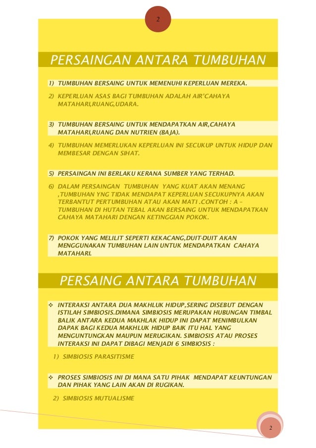 Persaingan Antara Tumbuhan