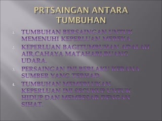 Persaingan antara tumbuhan (2)