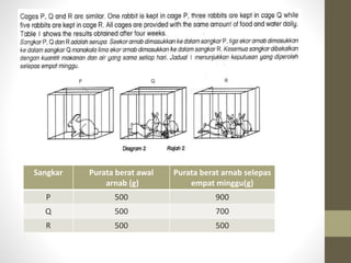 Sangkar Purata berat awal
arnab (g)
Purata berat arnab selepas
empat minggu(g)
P 500 900
Q 500 700
R 500 500
 