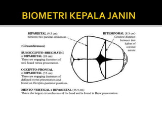 Persalinan normal (TAP).ppt Persalinan normal (TAP).ppt