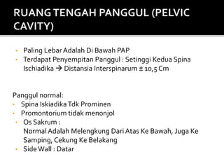 Persalinan normal (TAP).ppt Persalinan normal (TAP).ppt