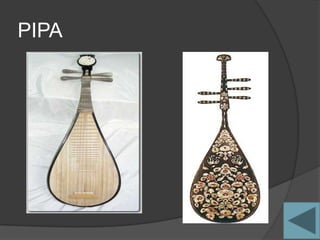 PIPA
 