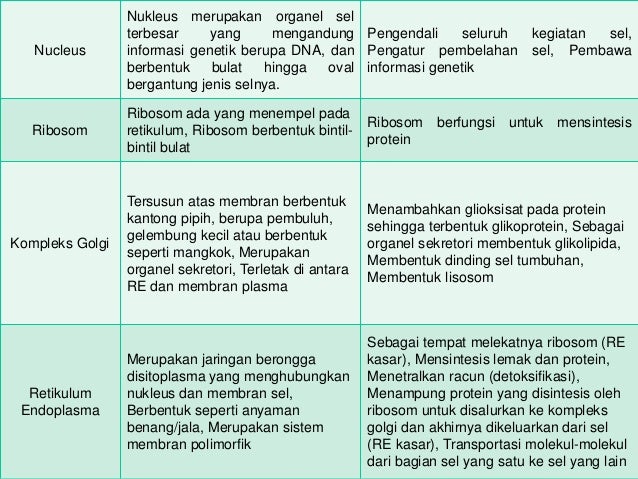  Persamaan  sel  tumbuhan  dan  hewan 