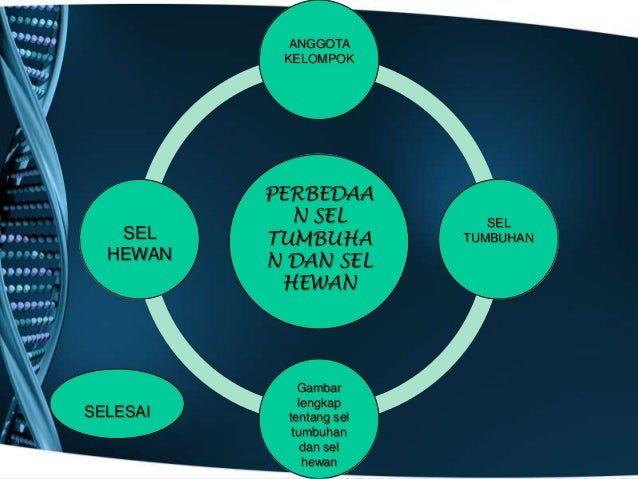  Persamaan  sel  tumbuhan  dan  hewan 