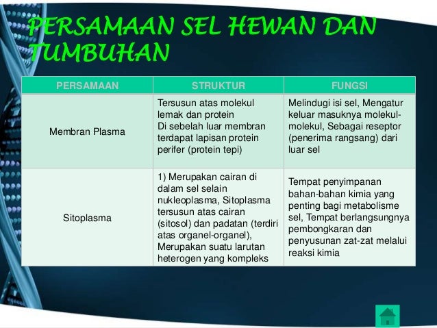  Persamaan  sel tumbuhan dan  hewan 