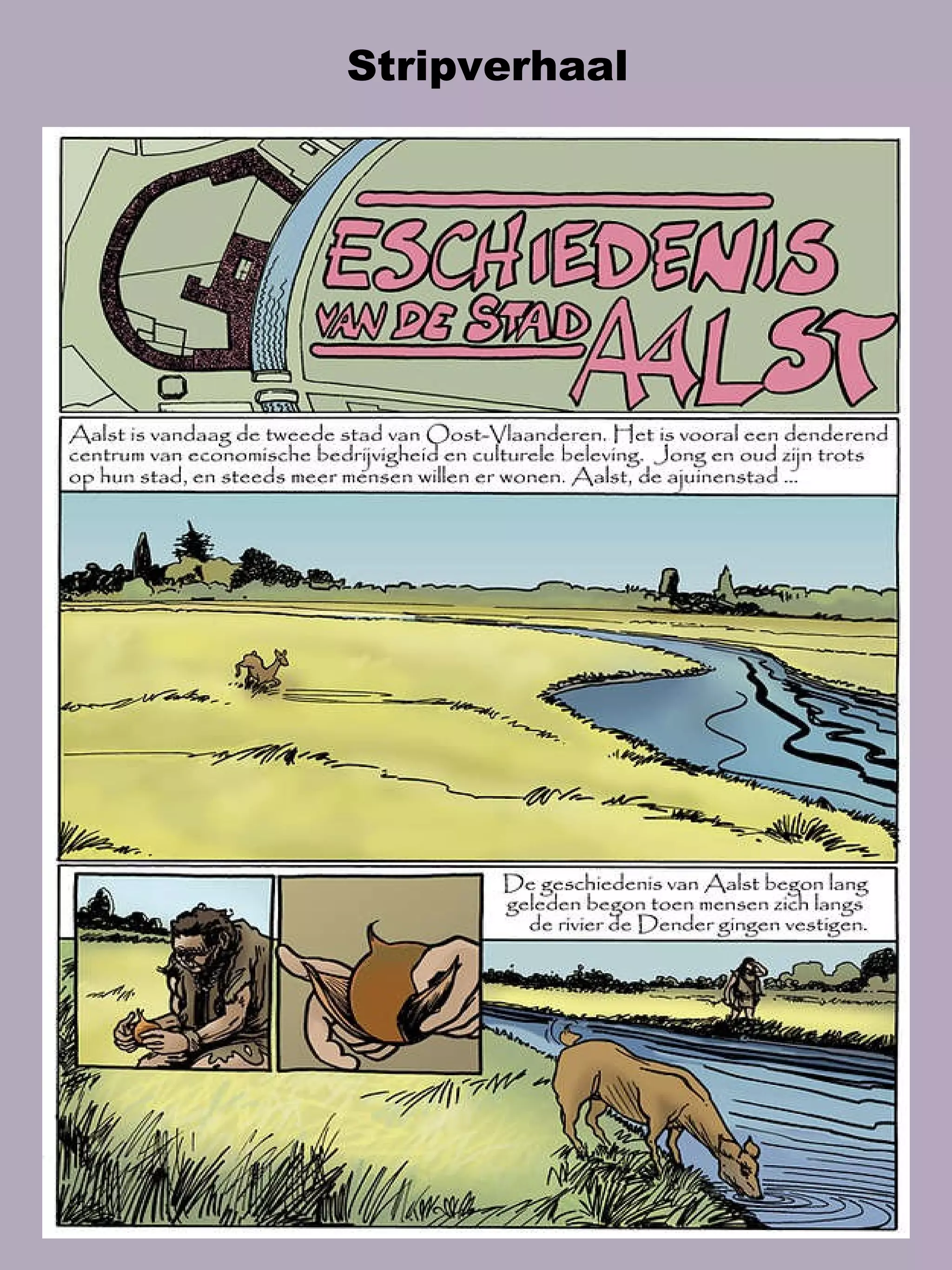 Stripverhaal  