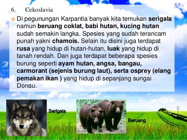 Download 5800 Koleksi Gambar Flora Dan Fauna Yang Ada Di Benua Eropa Terbaik Gratis Download 5800 Koleksi Gambar Flora Dan Fauna Yang Ada Di Benua Eropa Terbaik Gratis