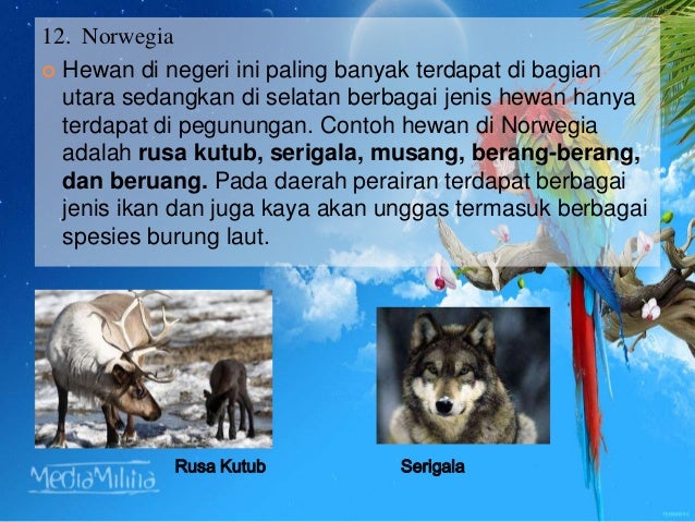 Download 5800 Koleksi Gambar Flora Dan Fauna Yang Ada Di Benua Eropa Terbaik Gratis Download 5800 Koleksi Gambar Flora Dan Fauna Yang Ada Di Benua Eropa Terbaik Gratis