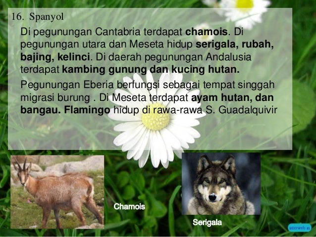 Download 5800 Koleksi Gambar Flora Dan Fauna Yang Ada Di Benua Eropa Terbaik Gratis Download 5800 Koleksi Gambar Flora Dan Fauna Yang Ada Di Benua Eropa Terbaik Gratis