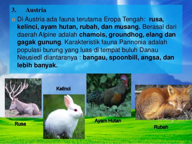 Persebaran fauna di benua eropa 