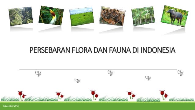 Persebaran Flora Dan Fauna 64677791