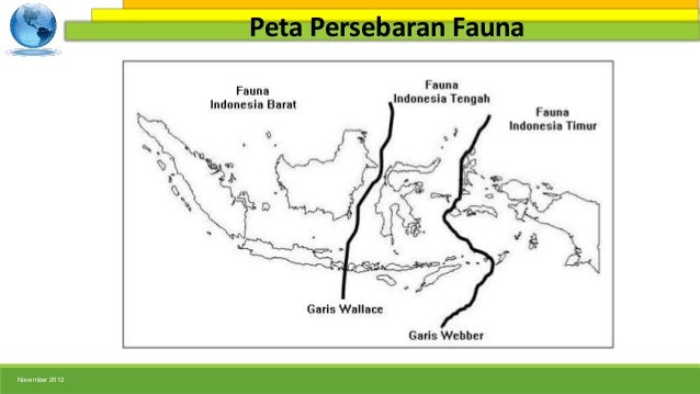 Peta Indonesia Peta Persebaran Flora Di Indonesia Berdasarkan Garis Wallace Dan Weber