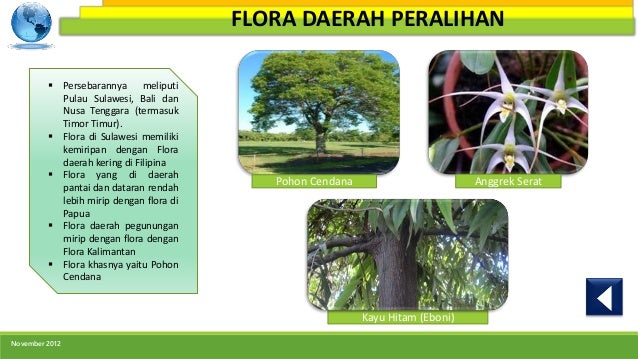 Persebaran flora dan fauna 